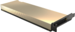 L4